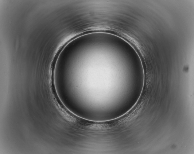 X0000098201179200805011139