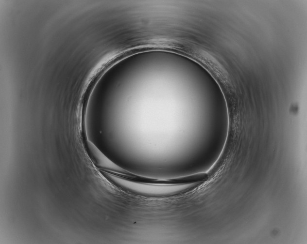 X0000098201180200805011139