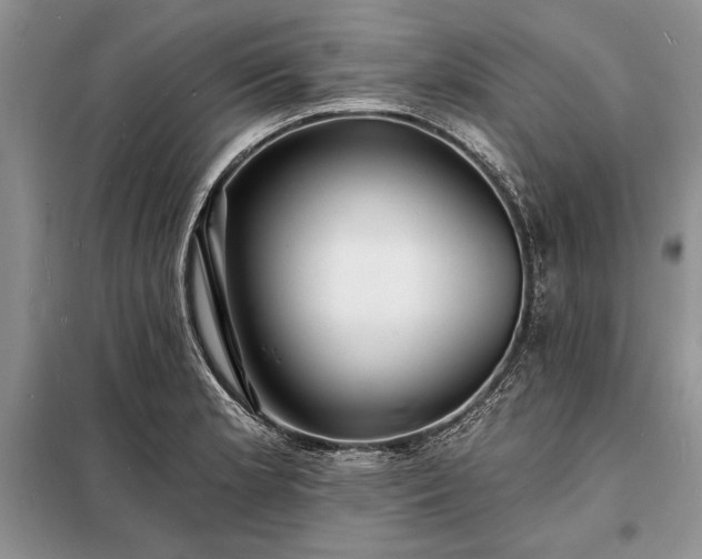 X0000098201181200805011139