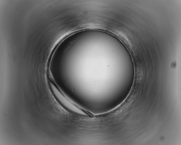 X0000098201182200805011139