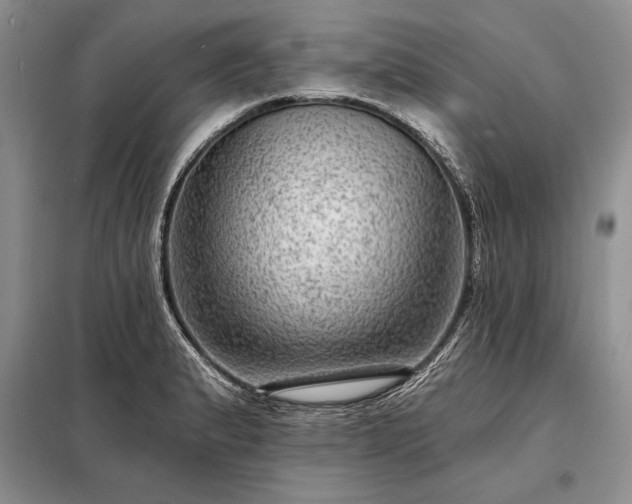 X0000098201183200805011139
