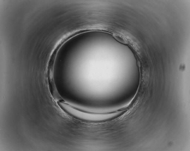 X0000098201184200805011139