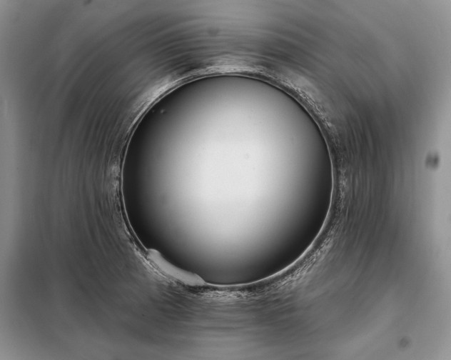 X0000098201185200805011139