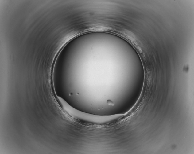 X0000098201186200805011139