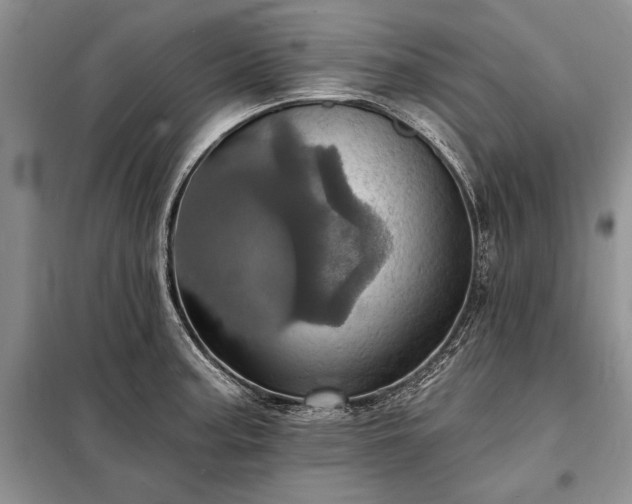 X0000098201187200805011139