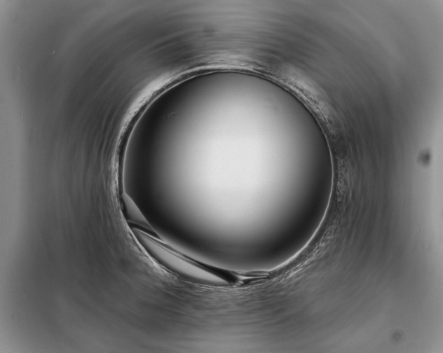 X0000098201188200805011139