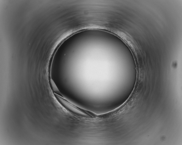 X0000098201189200805011139