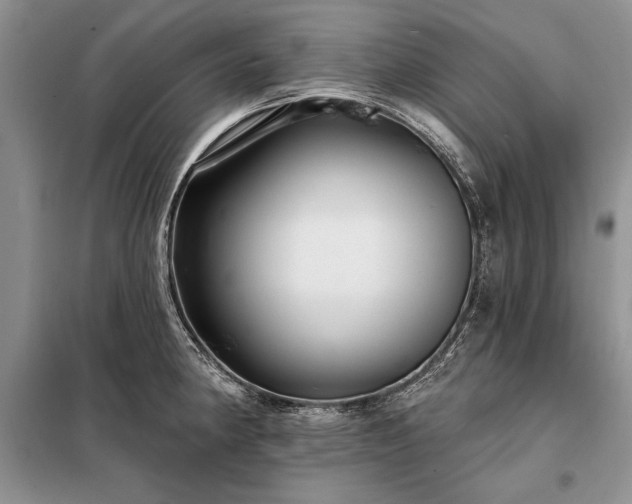 X0000098201190200805011139