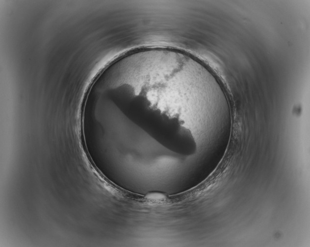 X0000098201191200805011139