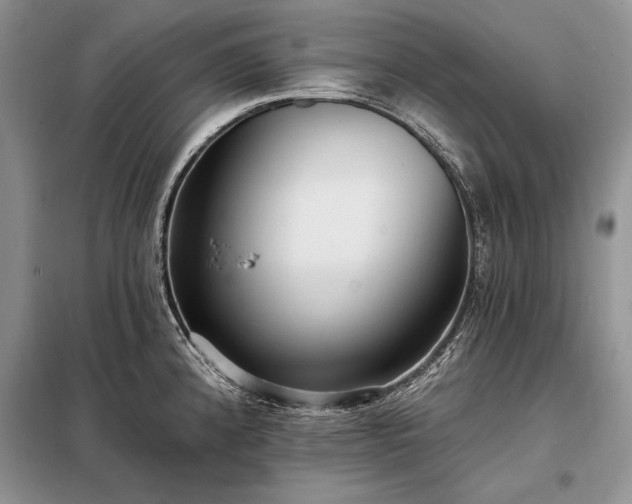 X0000098201192200805011139