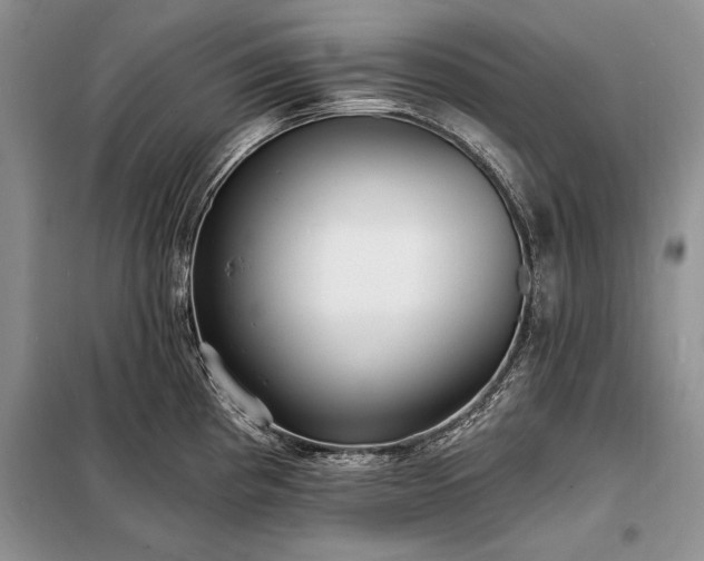 X0000098201193200805011139