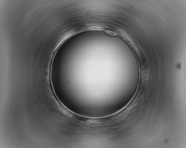 X0000098201194200805011139