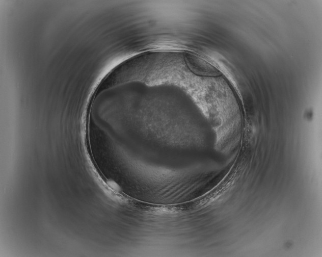 X0000098201195200805011139