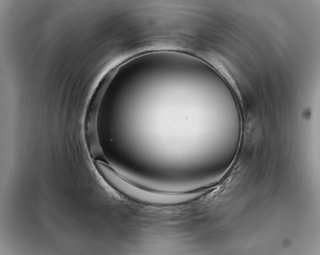 X0000098201197200805011139