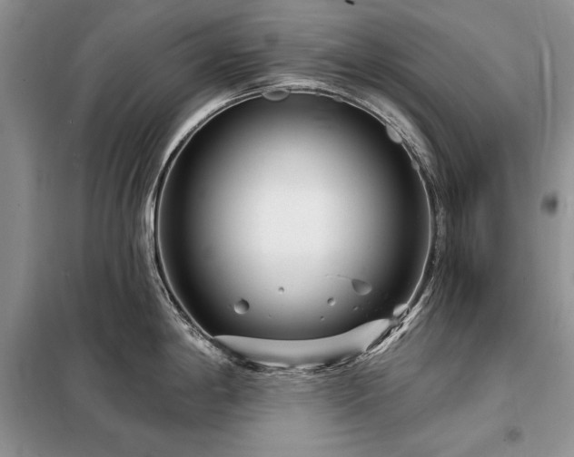 X0000098201198200805011139