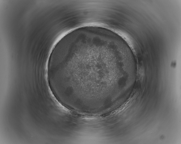 X0000098201199200805011139