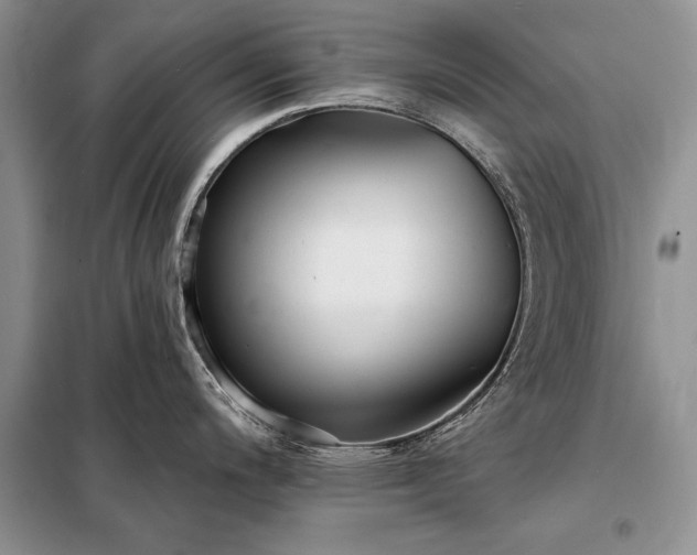 X0000098201200200805011139