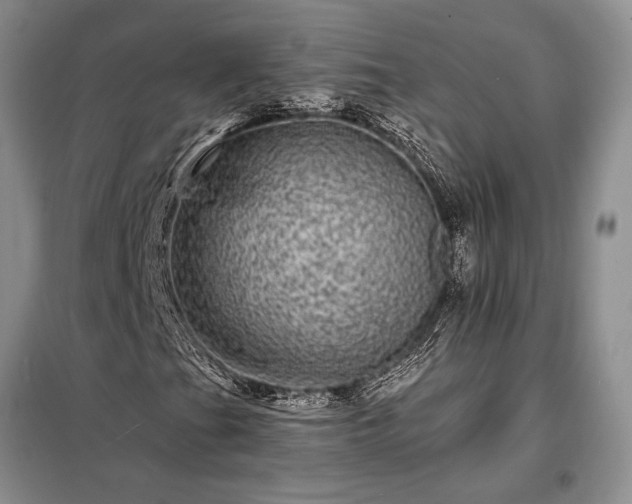 X0000098201201200805011138