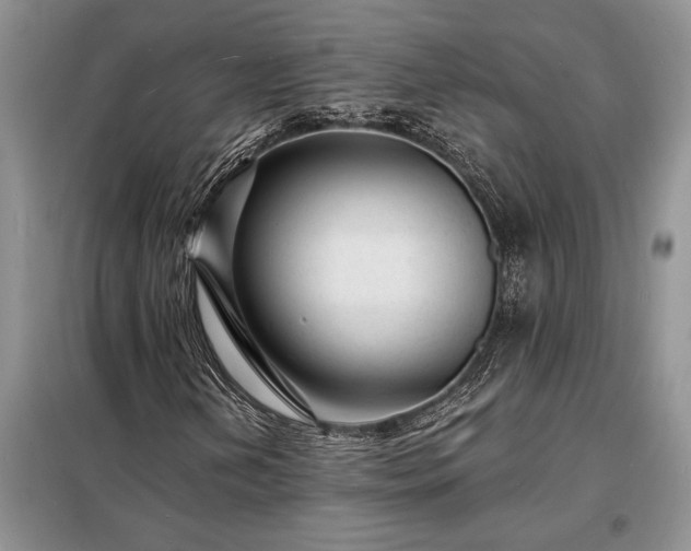 X0000098201202200805011138