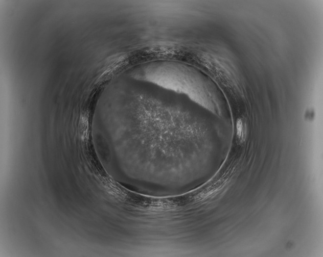 X0000098201203200805011138