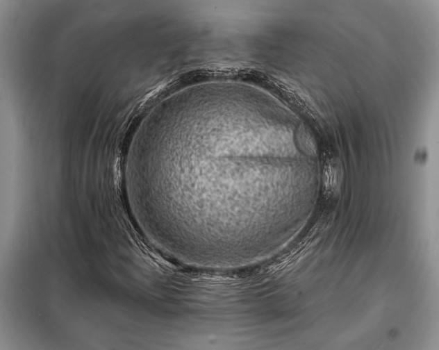 X0000098201204200805011138