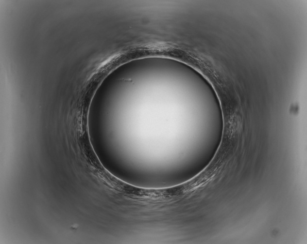 X0000098201205200805011138