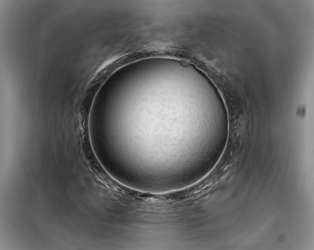 X0000098201206200805011138
