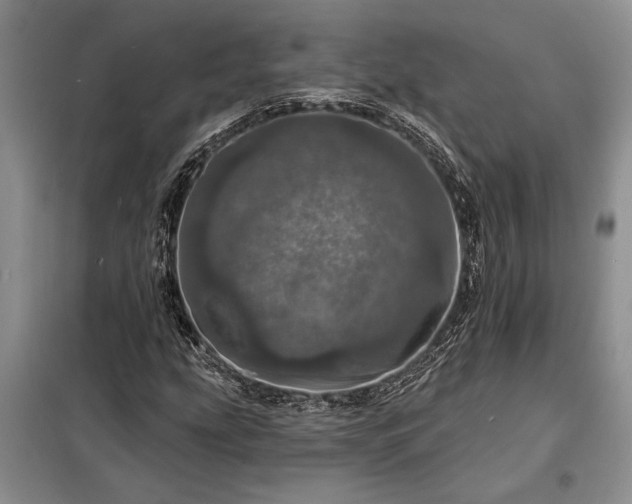 X0000098201207200805011138
