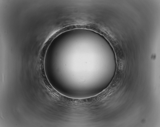 X0000098201208200805011138