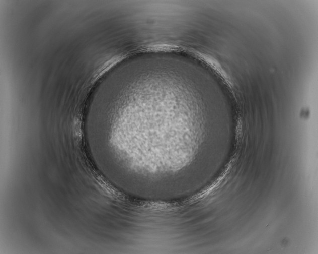 X0000098201209200805011138