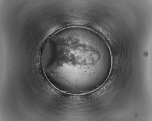 X0000098201211200805011139