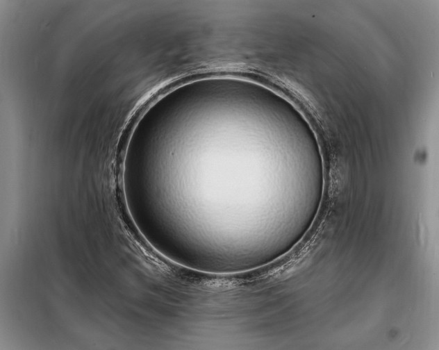X0000098201212200805011139