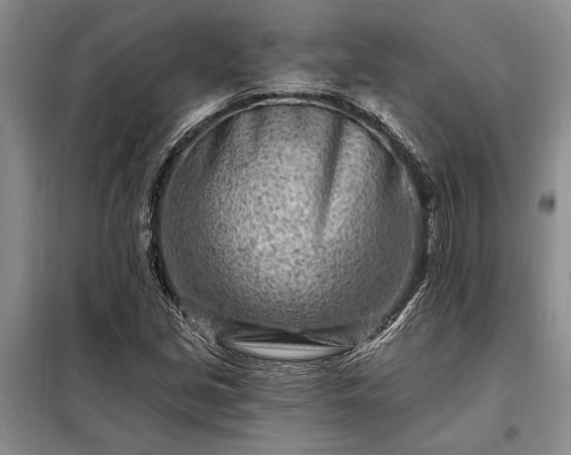 X0000098201213200805011139