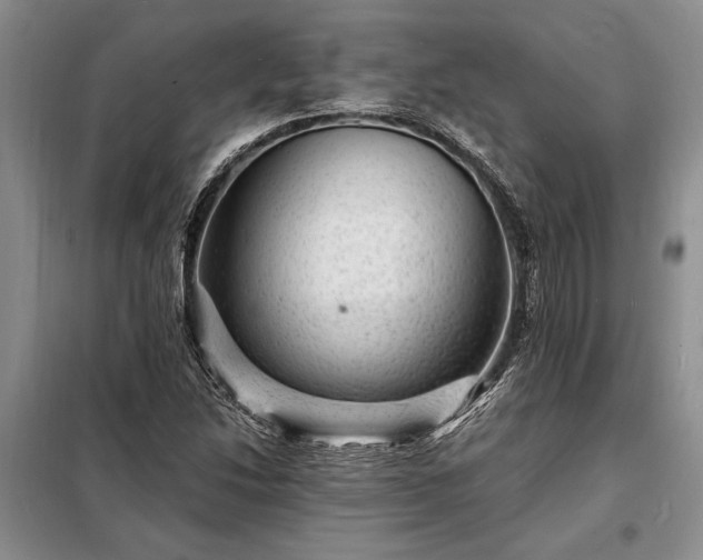X0000098201214200805011139