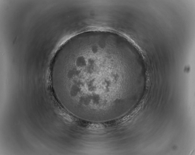 X0000098201215200805011139