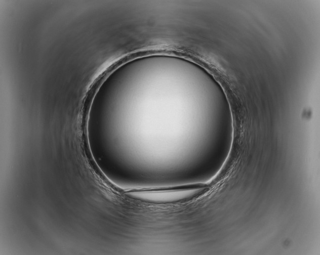 X0000098201216200805011139