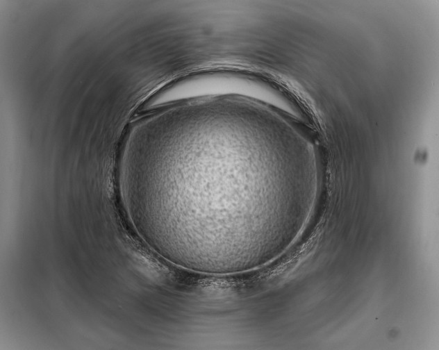 X0000098201217200805011139
