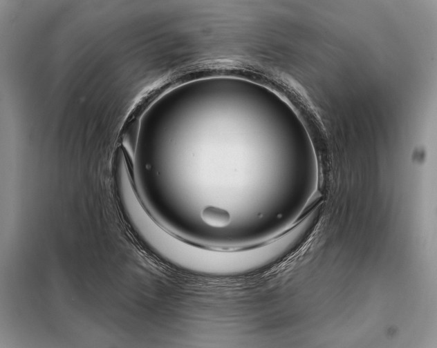 X0000098201218200805011139