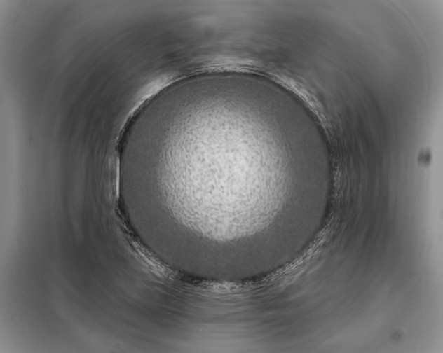 X0000098201219200805011139