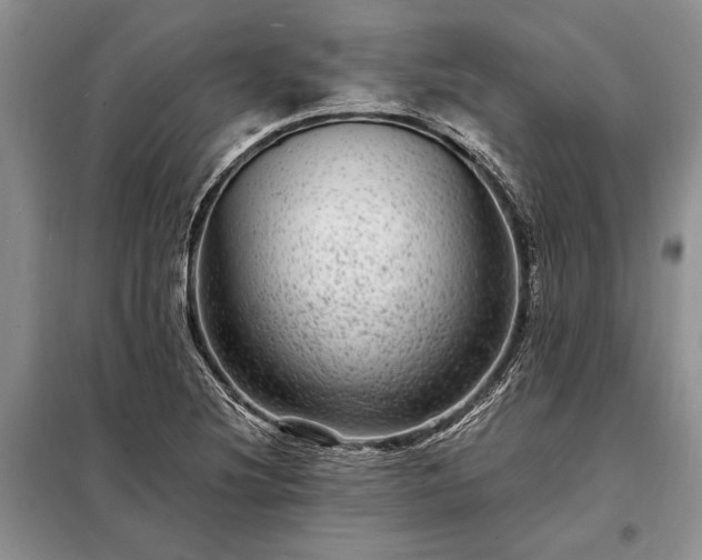 X0000098201220200805011139