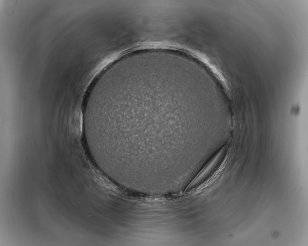 X0000098201221200805011139