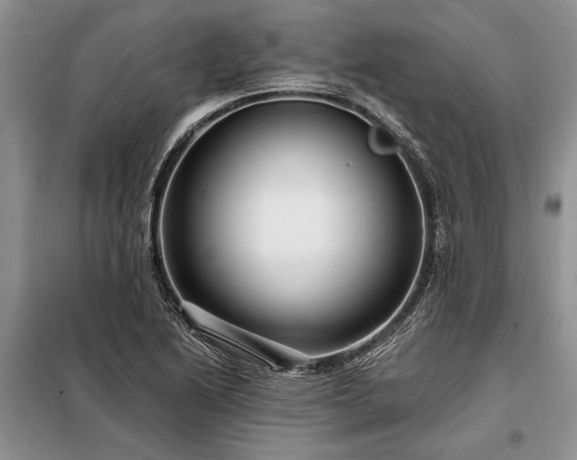 X0000098201222200805011139