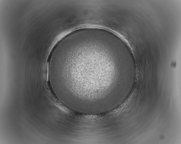 X0000098201223200805011139