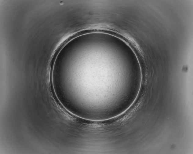 X0000098201224200805011139