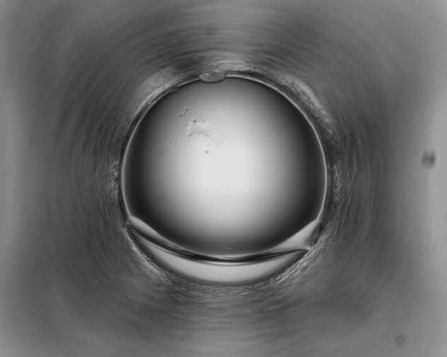X0000098201225200805011139