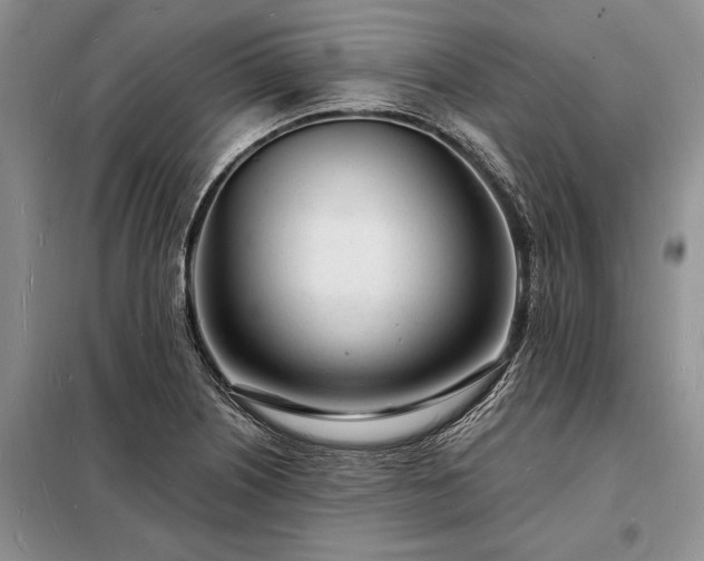 X0000098201226200805011139