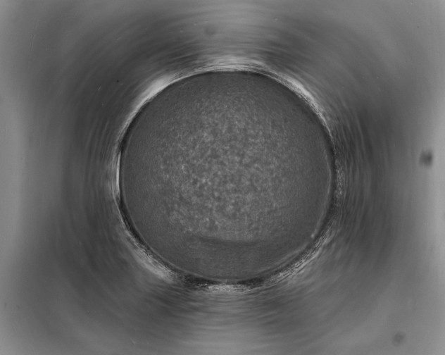 X0000098201227200805011139