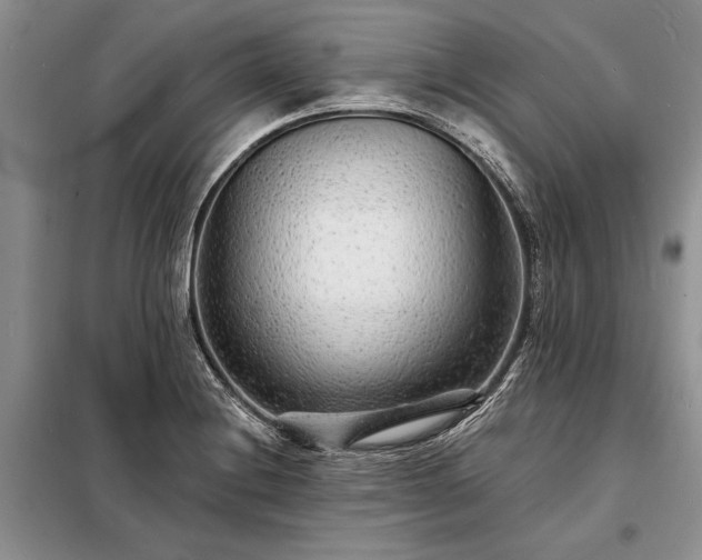 X0000098201228200805011139