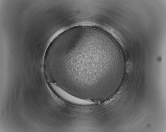 X0000098201229200805011139