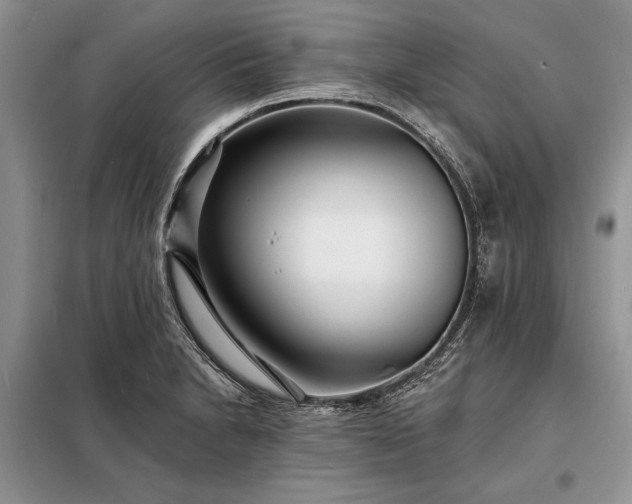 X0000098201230200805011139